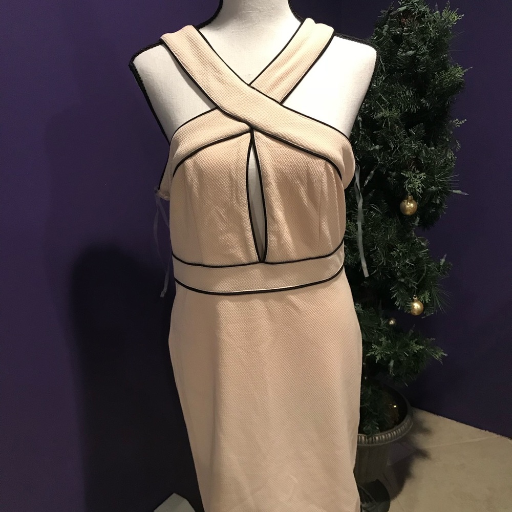 NWT Charlotte Russe Dress